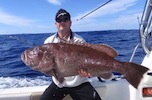 Moreton Island Fishing Charters Bar Cod